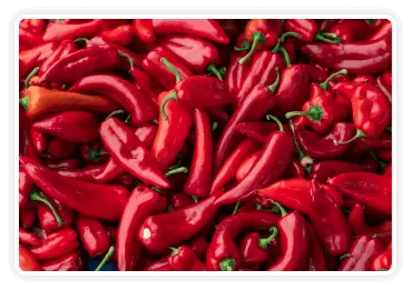 Citrusburn Ingrediant Andalusian Red Pepper