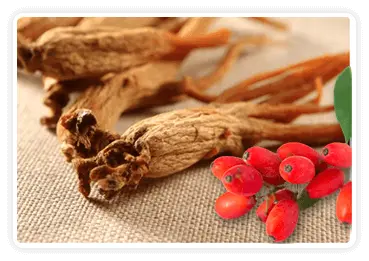Citrusburn Ingrediant Berberine & Korean Red Ginseng