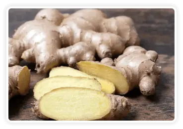 Citrusburn Ingrediants Himalayan Mountain Ginger